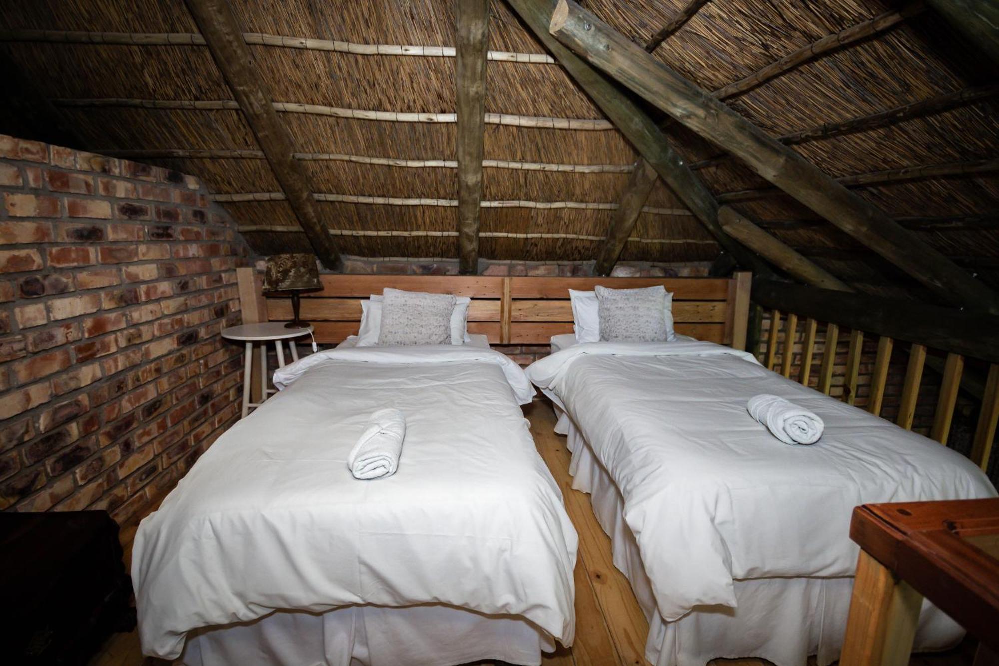 Tarantula Guest House Calvinia Екстер'єр фото