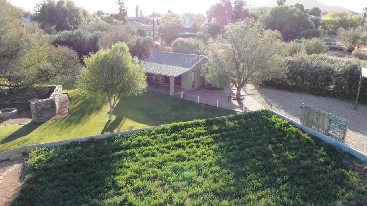 Tarantula Guest House Calvinia Екстер'єр фото