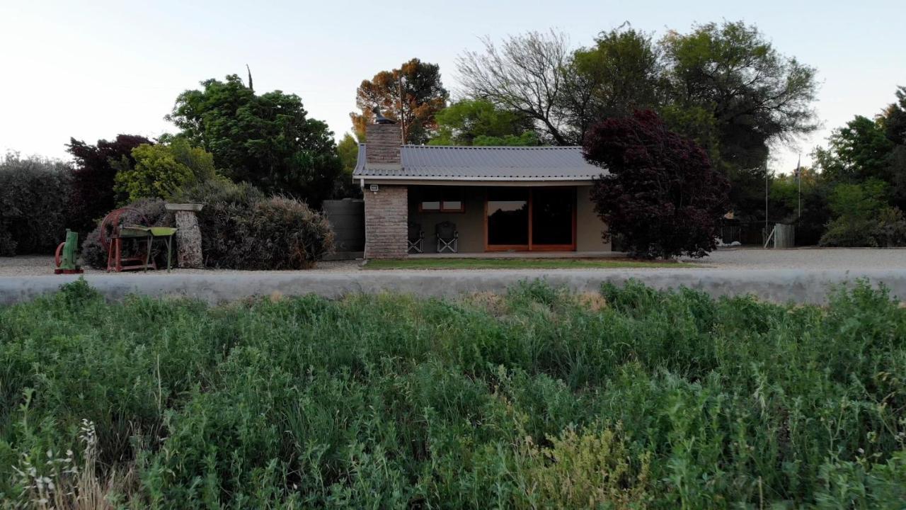 Tarantula Guest House Calvinia Екстер'єр фото