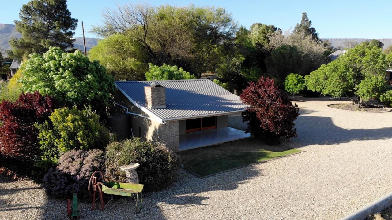 Tarantula Guest House Calvinia Екстер'єр фото
